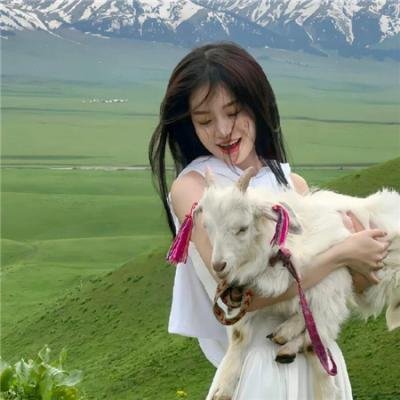 疯狂婚礼周